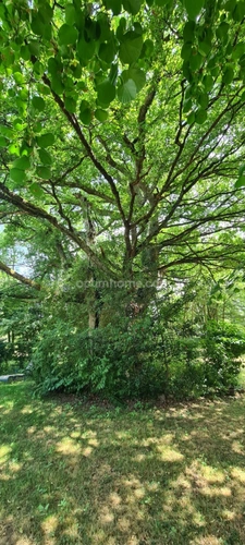 Propriété de charme en cœur de Creuse
