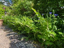 Propriété de charme en cœur de Creuse