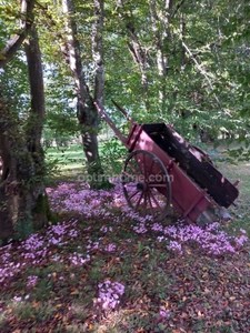 Propriété de charme en cœur de Creuse