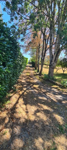 Chaumière avec pêcherie et terrain arboré
