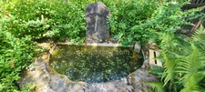 Propriété de charme en cœur de Creuse