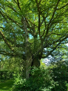 Propriété de charme en cœur de Creuse