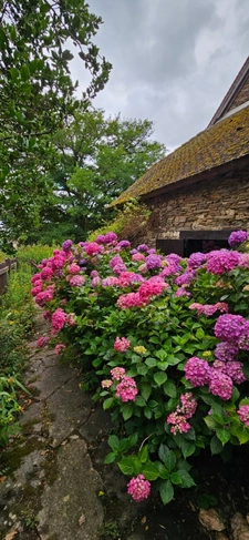 Propriété de charme en cœur de Creuse