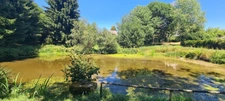 Chaumière avec pêcherie et terrain arboré