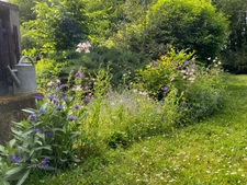 Propriété de charme en cœur de Creuse