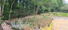 Propriété de charme en cœur de Creuse