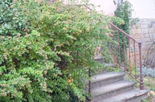 Vente en viager occupé - Appartement 2 pièces dans une maison CALUIRE ET CUIRE (69)