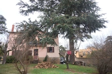 Vente en viager occupé - Appartement 2 pièces dans une maison CALUIRE ET CUIRE (69)