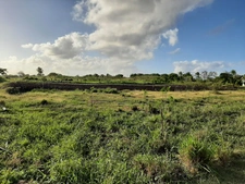 Dpt Guadeloupe (971), à vendre SAINT FRANCOIS maison P5 de 134,03 m² - Terrain de 8 528,00 m² - Plain pied