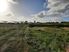 Dpt Guadeloupe (971), à vendre SAINT FRANCOIS maison P5 de 134,03 m² - Terrain de 8 528,00 m² - Plain pied