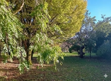 Maison familiale 138 m² - 3 chambres, parc 3000 m² - BRIE en Charente - Proche Angoulême. 