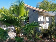 Maison + 2 appartements (T2)