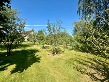 Maison à vendre 5 chambres - Grand séjour - Parc arboré et Verger