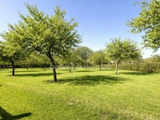 Maison Normande de 148 m² - 4 chambres - Dépendance et Verger - Cadre préservé LIVAROT PAYS D'AUGE (14)