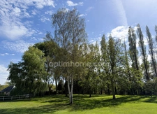 Belle propriété normande de caractère avec parc arboré de plus 3 500 m² et majestueuse bâtisse en pierre de Caen - Idéal projet gîtes, chambres d'hôtes ou vaste demeure familiale