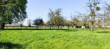 CORPS DE FERME - Maison et  Divers Bâtiments agricoles - 16,4 Hectares - Proche de ORBEC (14)
