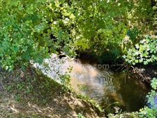 Propriété de caractère avec 2,5 hectares de parc, forêt et prairie – La Houblonnière – À 10 minutes de Lisieux