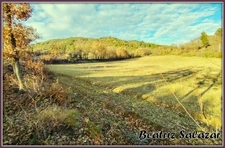 A Mezel, à 10mn de Digne-les-Bains, grans terrain à bâtir de 16 523,00 m²