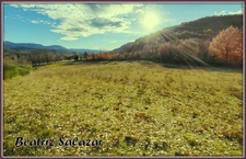 A Mezel, à 10mn de Digne-les-Bains, grans terrain à bâtir de 16 523,00 m²