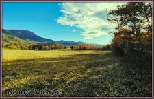 A Mezel, à 10mn de Digne-les-Bains, grans terrain à bâtir de 16 523,00 m²
