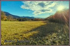 A Mezel, à 10mn de Digne-les-Bains, grans terrain à bâtir de 16 523,00 m²