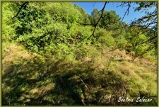 A DIGNE LES BAINS Terrain à vendre de 3494m2 dont une parcelle pouvant être bâtie de 386m2  
