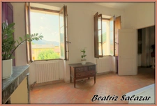 A Digne-les-Bains, dans un quartier central et calme, très bel appartement à rénover de 76m², 2/3 pièces et deux greniers.