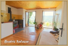 A Seyne-les-Alpes appartement T2, 31 m² avec terrasse, jardin et grand atelier dans un environnement très calme.