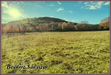 A Mezel, à 10mn de Digne-les-Bains, grans terrain à bâtir de 16 523,00 m²