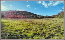 A Mezel, à 10mn de Digne-les-Bains, grans terrain à bâtir de 16 523,00 m²