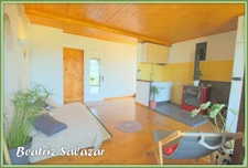 A Seyne-les-Alpes appartement T2, 31 m² avec terrasse, jardin et grand atelier dans un environnement très calme.