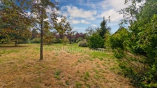 Saint Mesmin, maison 234 m2 sur plus d'un hectare de terrain
