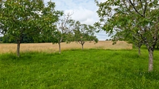 fermette, au calme, plus de deux hectares de terrain avec dépendances