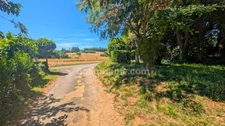 Propriété 6 chambres, nombreuses dépendances, terrain1 hectare 3 SAVIGNAC LEDRIER (24)