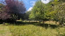 SAVIGNAC LEDRIER, BIEN RARE EN BORD DE L'AUVEZÈRE
