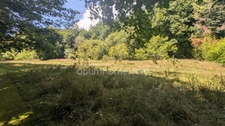 SAVIGNAC LEDRIER, BIEN RARE EN BORD DE L'AUVEZÈRE