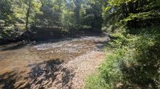 SAVIGNAC LEDRIER, BIEN RARE EN BORD DE L'AUVEZÈRE