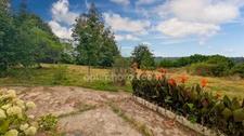 Saint Mesmin, maison 234 m2 sur plus d'un hectare de terrain