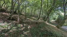 SAVIGNAC LEDRIER, BIEN RARE EN BORD DE L'AUVEZÈRE
