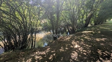 SAVIGNAC LEDRIER, BIEN RARE EN BORD DE L'AUVEZÈRE