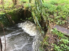 Etang de pêche sur terrain de plus de 2 hectares