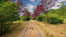 Saint Mesmin, maison 234 m2 sur plus d'un hectare de terrain