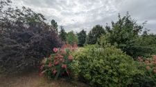 Saint Mesmin, maison 234 m2 sur plus d'un hectare de terrain