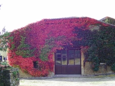 Chateau de Petit-xivry 1700