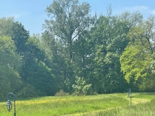 Maison de maître d'exception sur 1,6 hectare de terrain– Thonne-les-Prés