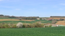 Subrebe emplacement. Terrain à vendre de 2 215,00 m² VILLECLOYE (55)
