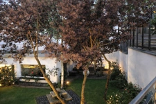 Ensemble immobilier maison d'habitation de prestige et bureaux