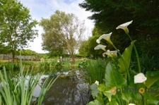 Belle maison en pierre avec grand jardin