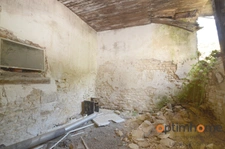 🌳✨ La Maison sur la Colline – 5 hectares Asnois (86) ✨🌳