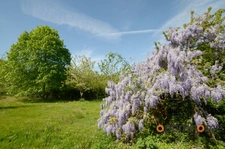 Belle maison Sous-Sol avec jardin seulement 2 minutes du village